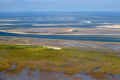 Lebensräume - Nationalpark Wattenmeer