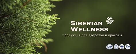 СИБИРСКОЕ ЗДОРОВЬЕ/SIBERIAN WELLNESS | Привет меня зовут Александр, я ...