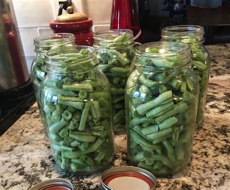 Pressure Canning Fresh Grown Garden Green Beans (with Pictures) - Instructables