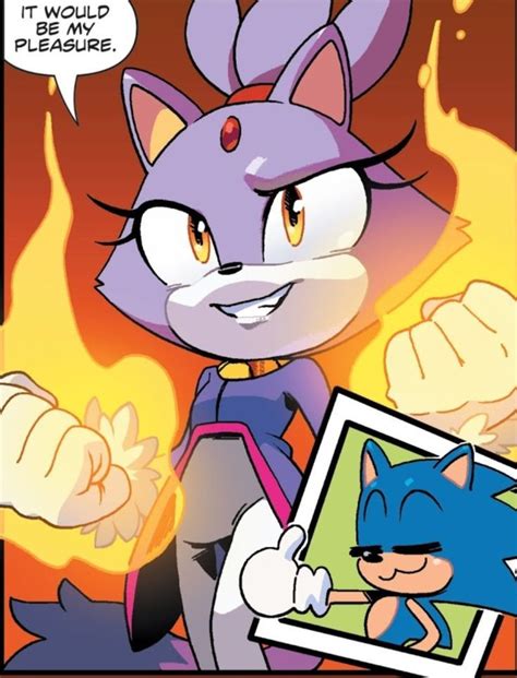 Blaze The Cat Sonic The Hedgehog Sonic Adventure Sonic