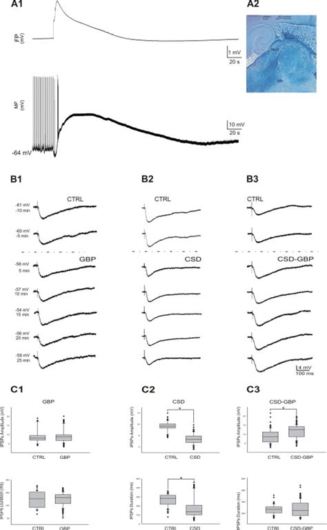 Gabapentin Prevents Cortical Spreading Depolarization Induced