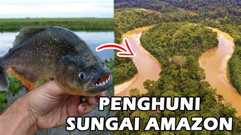 Hewan Yang Ada Di Sungai Amazon Ngeri Dan Berbahaya Youtube