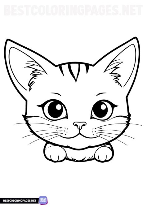 Cat face coloring page - Free printable coloring pages