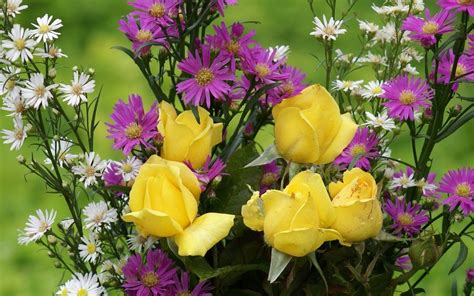 Most Beautiful Flowers Wallpapers - Top Free Most Beautiful Flowers ...