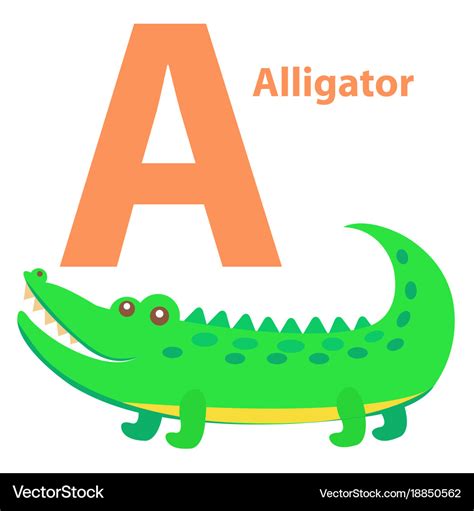 Alphabet For Children A Letter Alligator Cartoon Vector Image