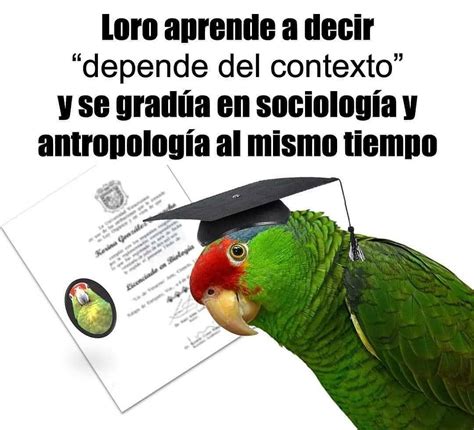 Loro Aprende A Decir Depende Del Contexto Y Se Gradúa En Sociología Y