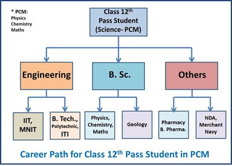 Career Path Flow Diagram Career Mapping Template