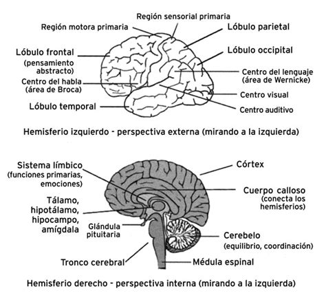 Inteligenciapractica 19xhtml