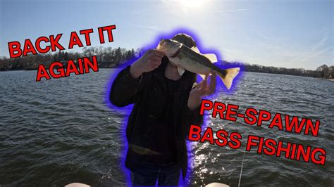 First Day Back Pre Spawn Bass Fishing Youtube