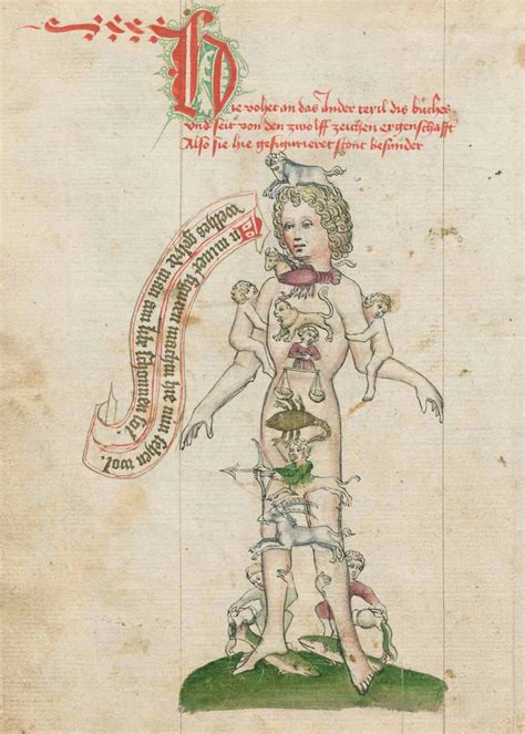 The Zodiac Signs Associated With Body Parts From Regimen Of Health By Heinrich Von Laufenberg