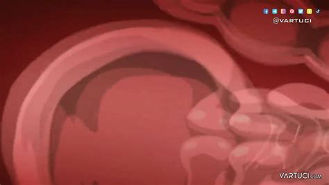 Anime Uncensored Hentai Uncensored Japanese Jav Cartoon