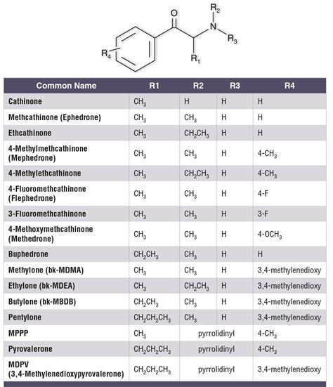 Phenethylamine An Overview Sciencedirect Topics 59 Off