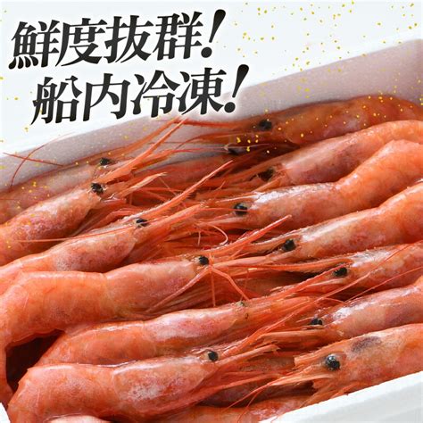 【楽天市場】【ふるさと納税】天然！越前甘エビ 卵なし 大サイズ 約500g × 1箱 約30尾入り 解凍方法説明書付き 船内凍結 酸化