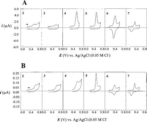 Cyclic Voltammograms Scan Rate Mv S In Pb For Solutions Of