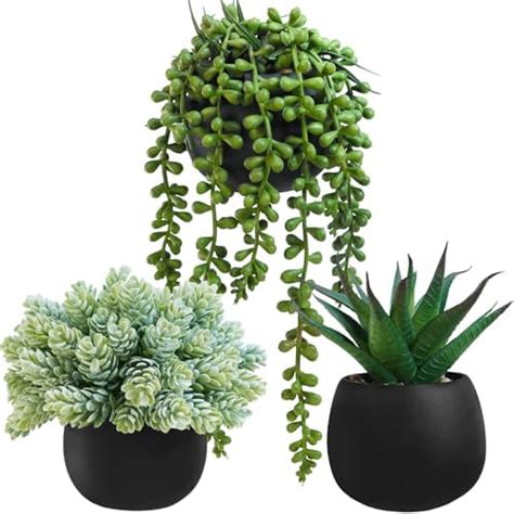 Amazon Winlyn 3 Pcs Small Faux Potted Plants Artificial Aloe Hops