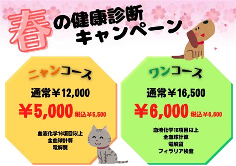 春の健康診断のお知らせ ブログ｜東京都北区 赤羽地域の川村動物病院（犬•猫•ウサギ等）