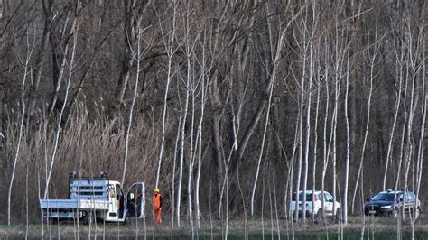 Muore Travolto Da Un Tronco Lungo Gli Argini Del Tanaro La Stampa