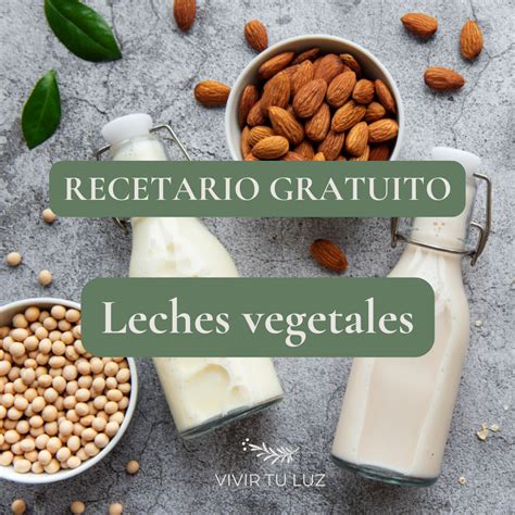 Recetario Leches Vegetales Vivir Tu Luz