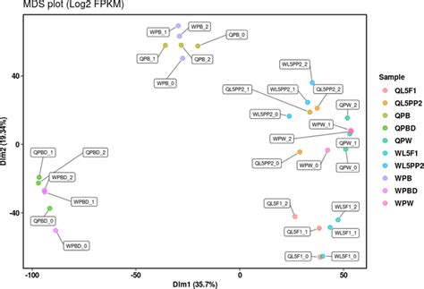 Multidimensional Scaling MDS Plot Showing The Relationships