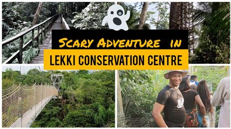 The Most Scary Canopy Walkways In Africa LEKKI CONSERVATION CENTRE