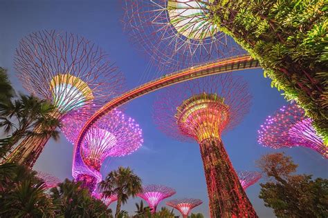 Tripadvisor Gardens By The Bay Con 2 Flower Dome Marina Bay Sands