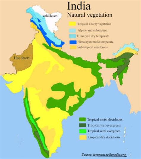 Discuss About The Size And Location Of India S Forest And Mountains