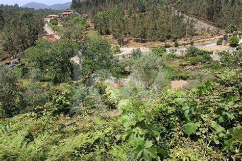 Terreno à venda na rua Professor Antonio Augusto Carvalho s n Melres e