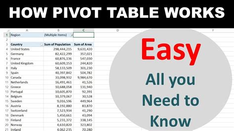 Using Pivot Tables To Transform Large Data Into Beautiful Summaries