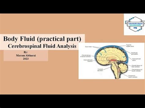 Cerebrospinal fluid analysis CSF part 1 تحليل سائل النخاع الشوكي