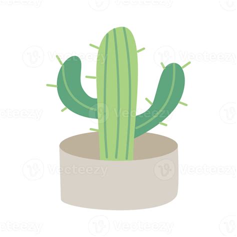 Planta De Cactus En Maceta Png Cactus Planta De Casa Dibujo A Mano