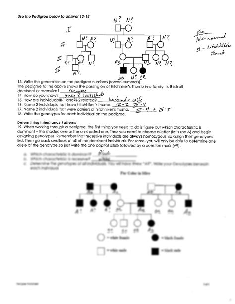 Pedigree Worksheet Biology Pedigree Worksheet Hemophilia T