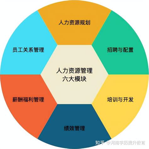 企业人力资源管理师报考指南！人事hr必看！ 知乎