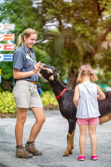 Zookeeper With Girl During Goat Mingle Zootampa At Lowry Park