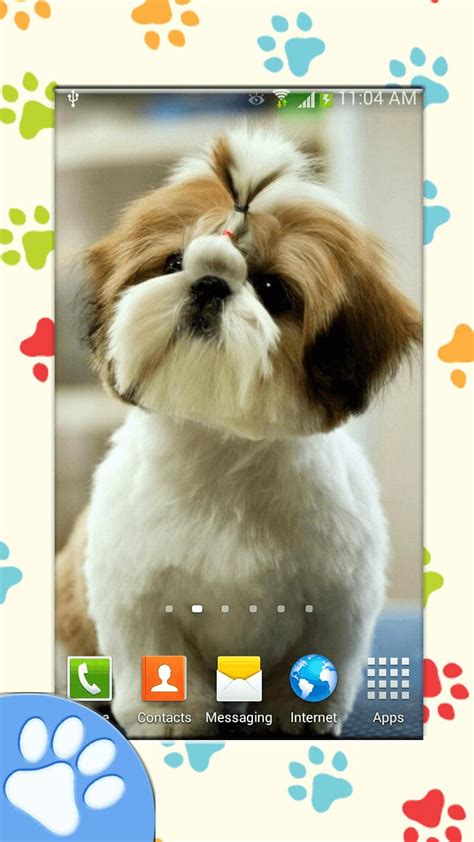 Koleksi Wallpaper Tema Anak Anjing Lucu | Bedebas