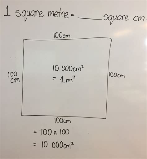 square   square meter vrogueco