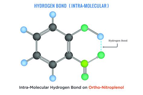 Hydrogen Bond