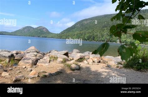 Harbor Pond Stock Videos Footage Hd And K Video Clips Alamy