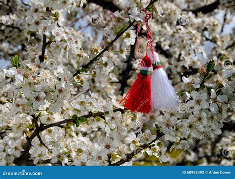 Bulgarian Martenitsa On Blossom Tree Stock Photo Image Of Martenitsa