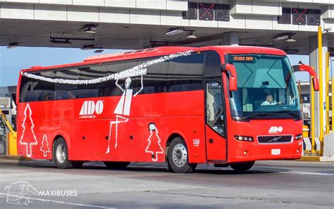 Maxibuses Autobuses De Oriente Ado