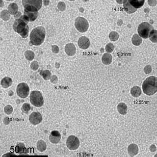 Transmission Electron Microscopy TEM Micrograph Of Spherical AgNPs