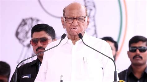 Sharad Pawar पक्ष सोडून गेलेलं लोक परत येण्याबाबत मला काय