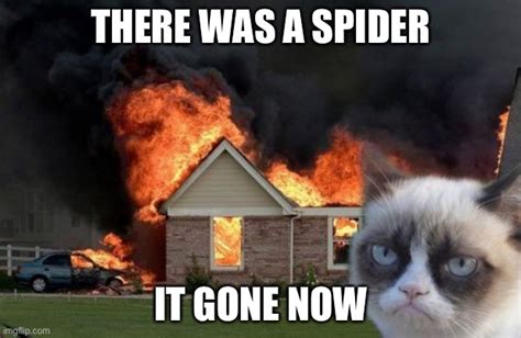 Burn Kitty Memes - Imgflip