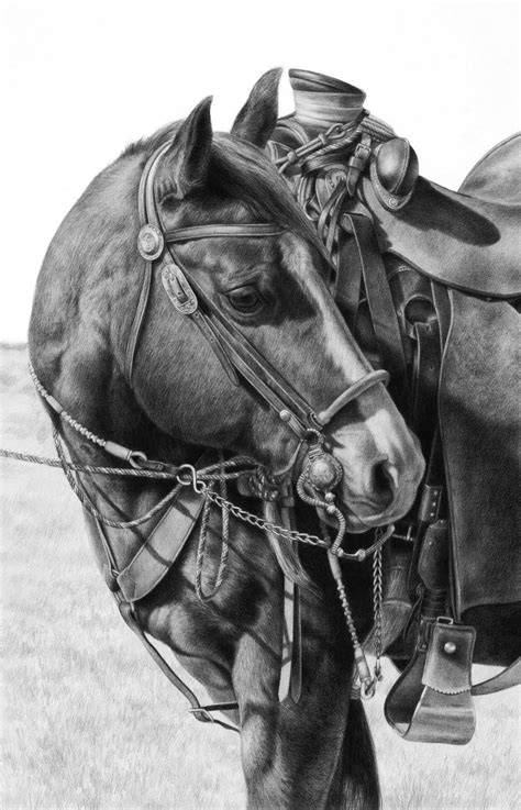 Swayback horse sketch - warsnery