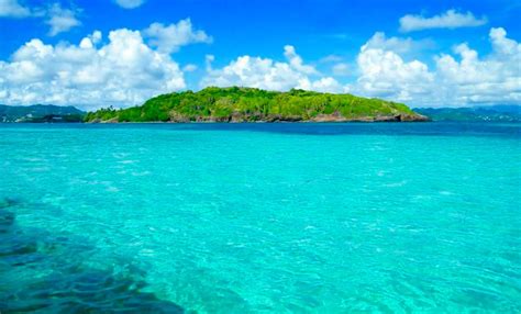 Fonds Blancs Martinique Sortie En Bateau Visite Et Baignade