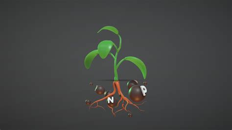 Plant With Root Cartoon Style Nutrition System Buy Royalty Free 3d Model By Tkkjee 🥀