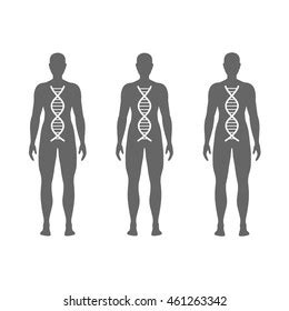 Vector Illustration Human Dna Stock Vector Royalty Free 461263342