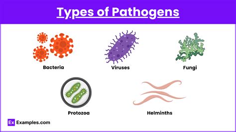 Unit 8.6 - Pathogens and Infectious Diseases (Notes & Practice ...