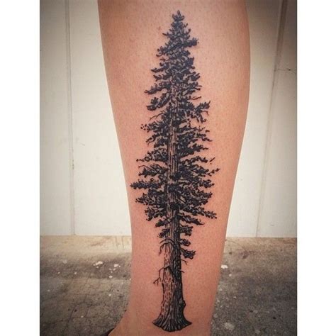 Sequoia Tree Tattoo