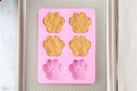 Easy Pumpkin Dog Biscuits Recipe - Spoiled Hounds