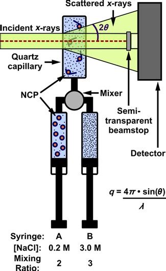 Schematic Of Stopped Flow Mixing Experiment To Probe Salt Induced